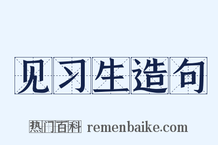 见习生造句是什么意思的图片